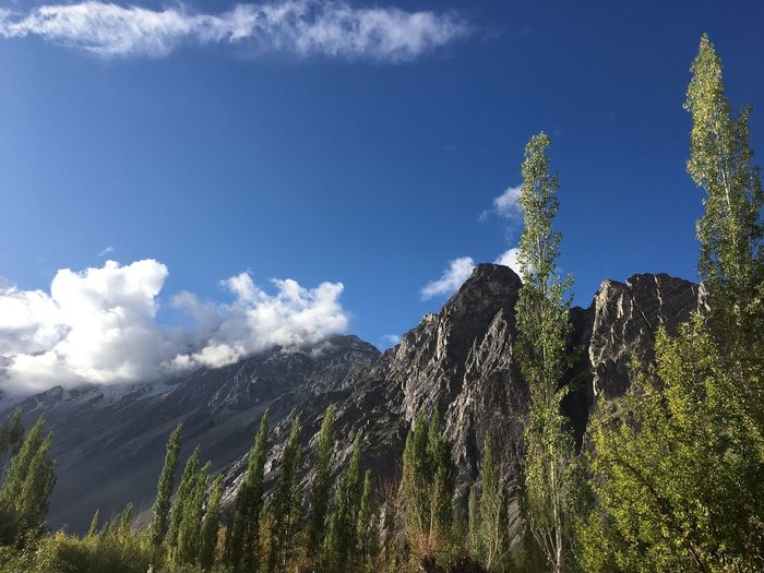 Panoramic view of trees and mountains against sky