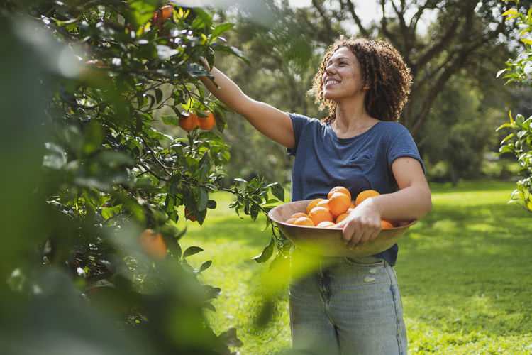 Smiling woman picking oranges from tree in garden