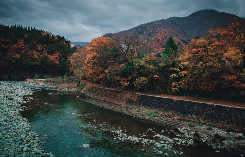 Scenic view of river amidst trees against sky