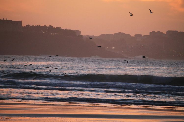 Scenic view of sea at sunset