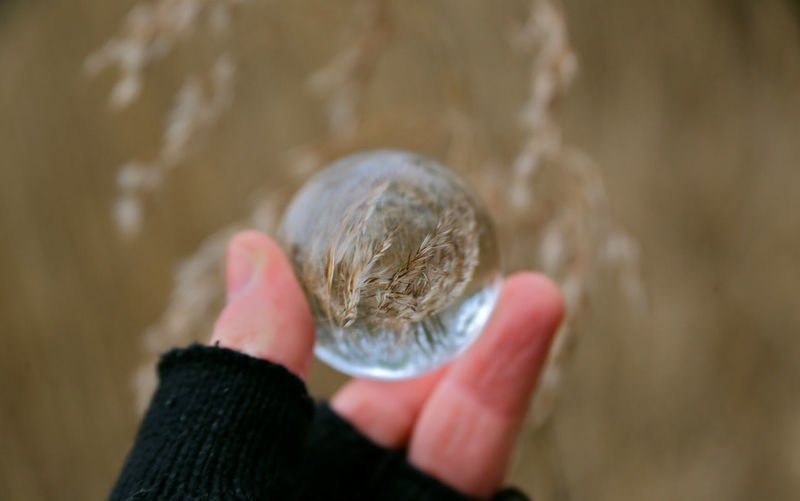 Cropped hand of woman holding crystal ball with reflection