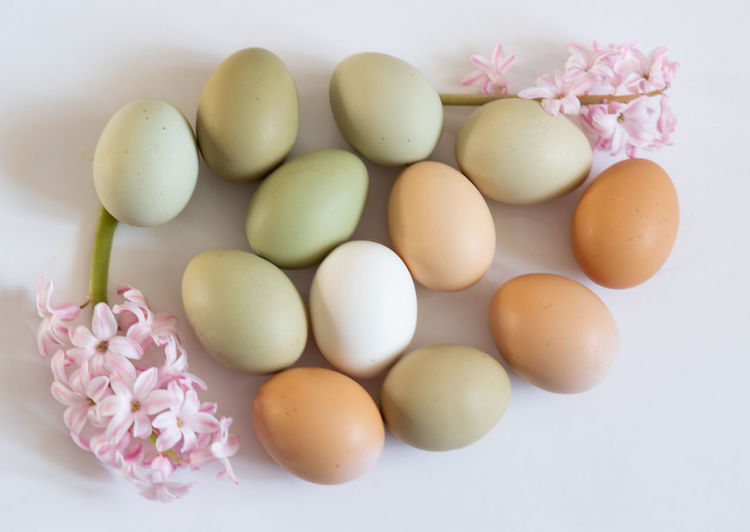 egg