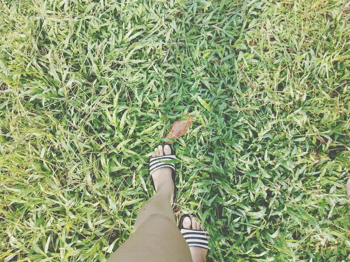 Low section of woman standing on field