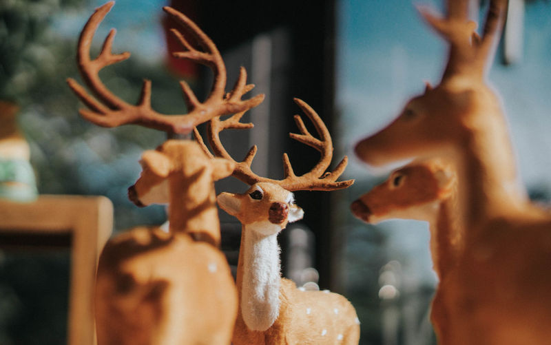 Close-up of deer sculpture