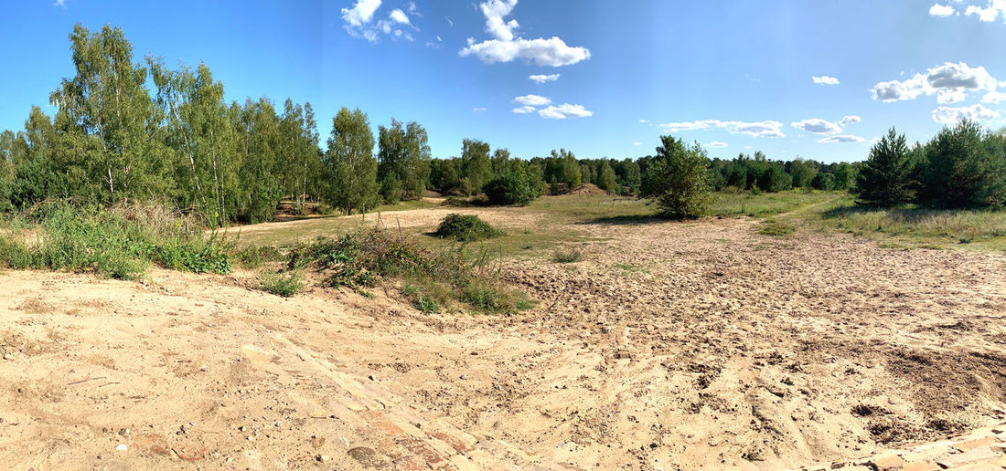 Panoramic shot of trees on field against sky