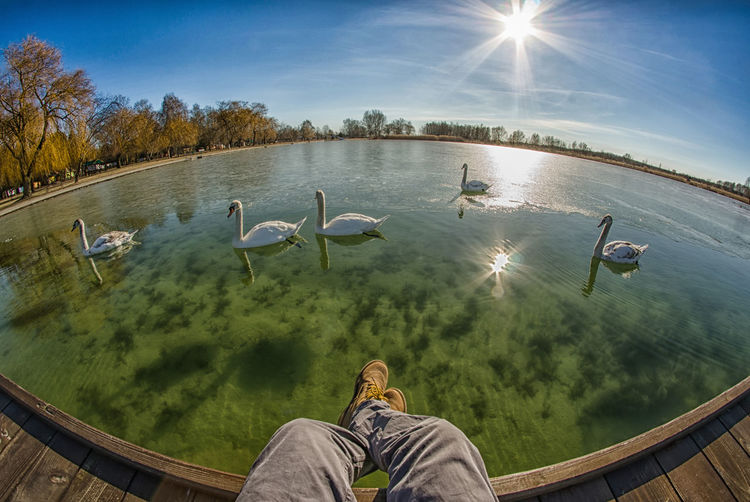 Low section of man sitting on pier over lake against sky