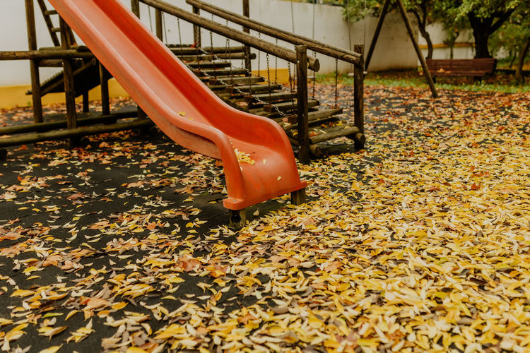 Empty bench in park