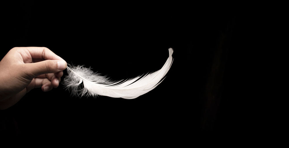 Close-up of hand holding feather against black background