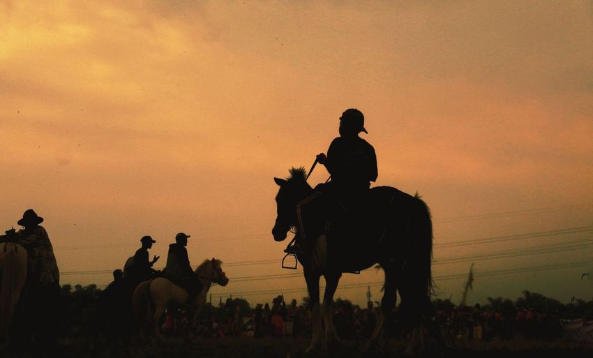 Silhouette people riding horses against sky during sunset