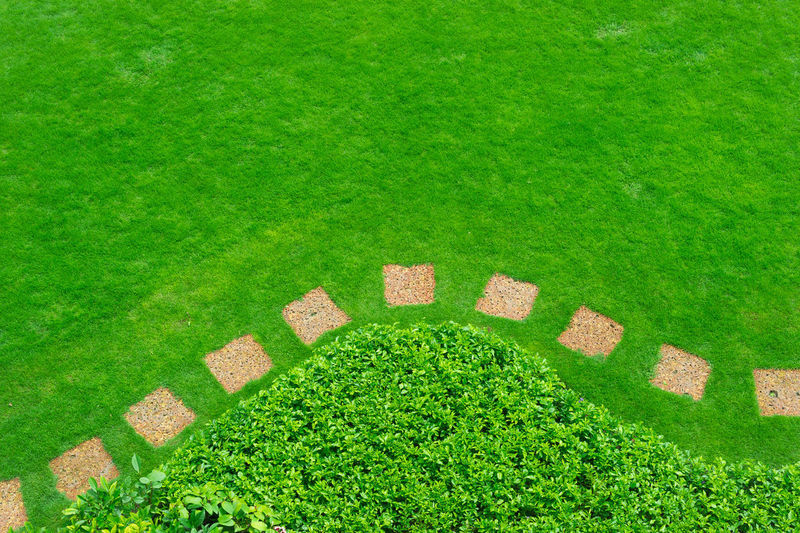 High angle view of stepping stones and grassy field in garden