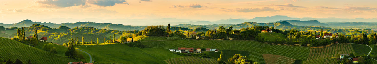 Panorama of vineyards hills in south styria, austria. tuscany like place to visit. 