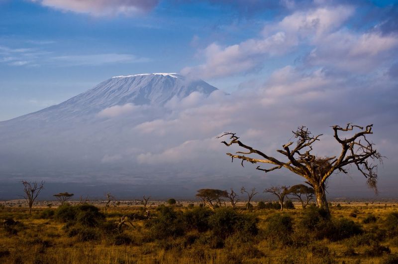 Landscape and mount kilimanjaro against cloudy sky