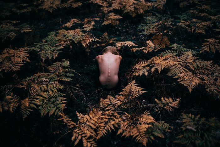Rear view of topless woman amidst ferns at forest