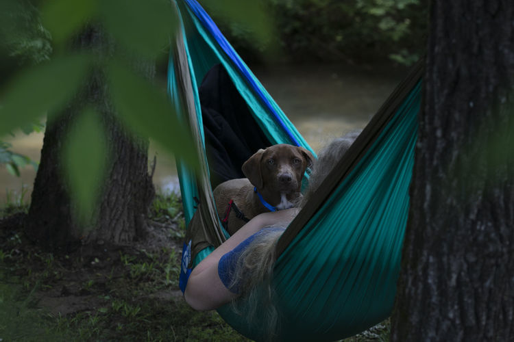 Portrait of dog with woman relaxing on hammock in park
