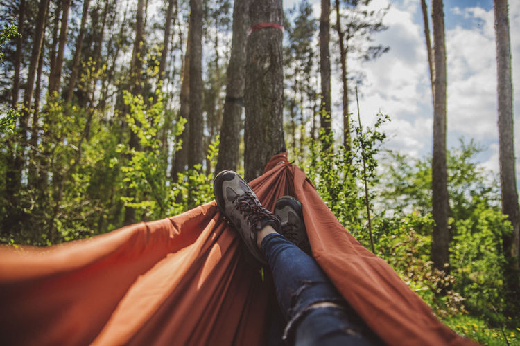 Low section of woman relaxing on hammock in forest
