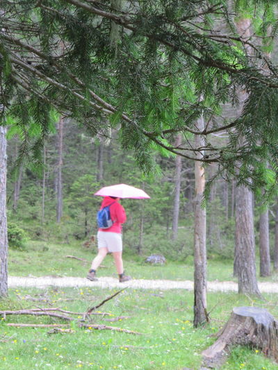 Man standing on tree trunk in forest