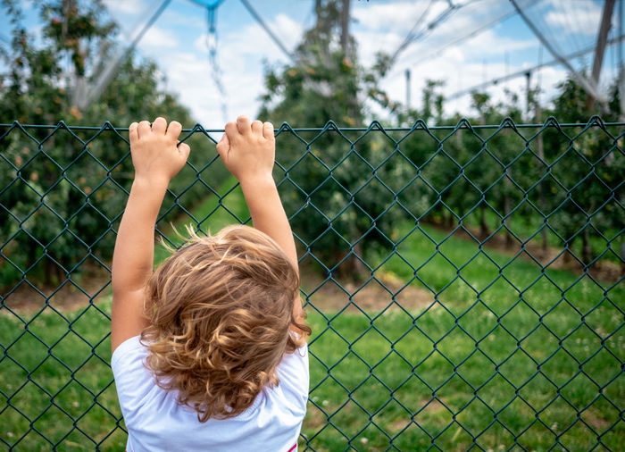 Rear view of boy looking through chainlink fence