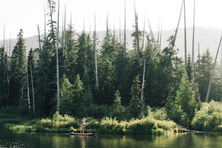 A young woman enjoys a standup paddle board on lost lake in oregon.