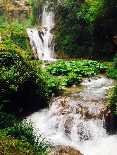 Stream flowing through rocks in forest
