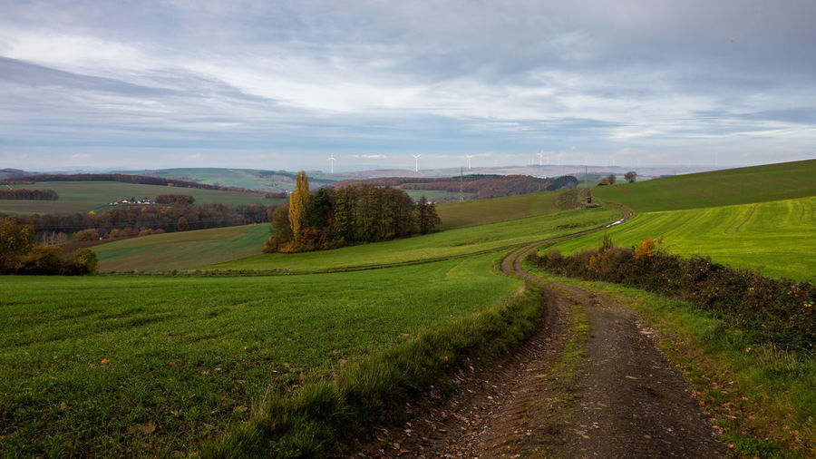 landscape