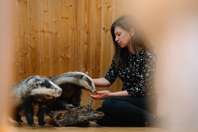 Full length of a young woman sitting by stuffed badgers on wooden wall