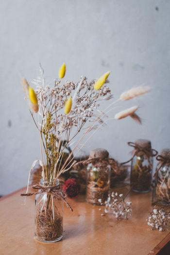 Close-up of flowering plant in vase on table