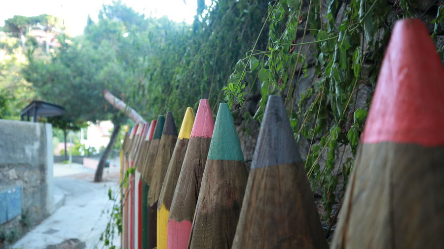 Close-up of clothes hanging on wood against trees