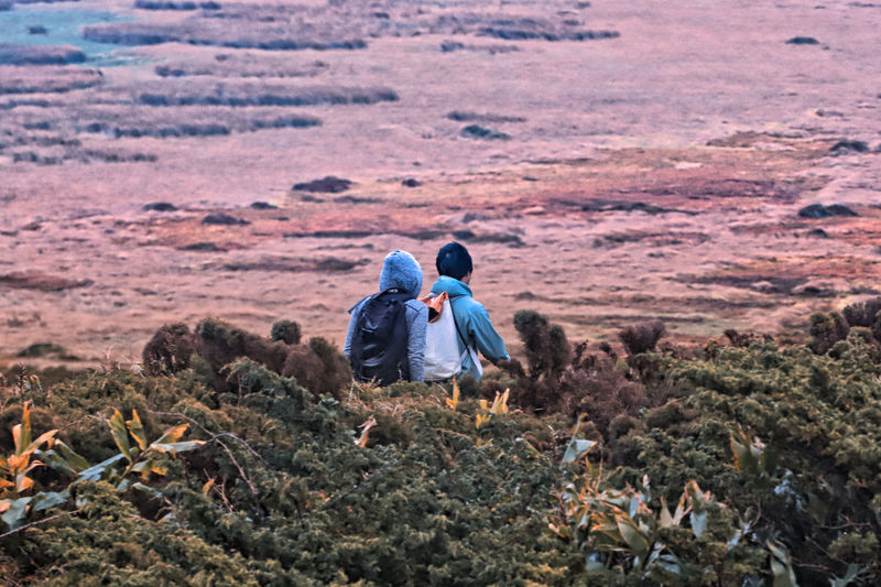 Rear view of a couple on rock