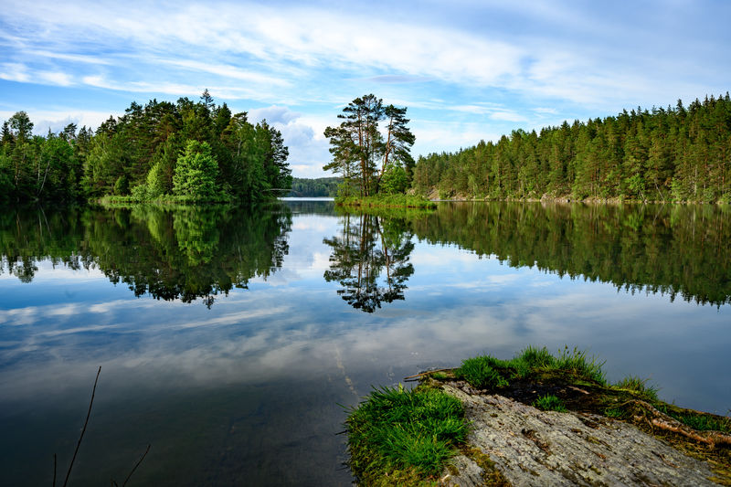 Scenic view of lake by trees against sky