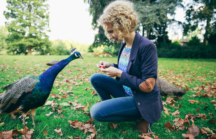 Young woman crouching while feeding peacock on grassy field