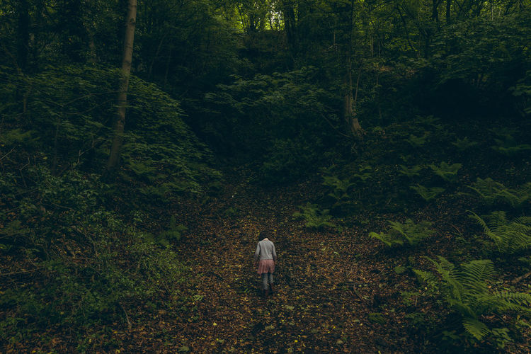 Moody shot of young girl walking a path in a wide forest clearing