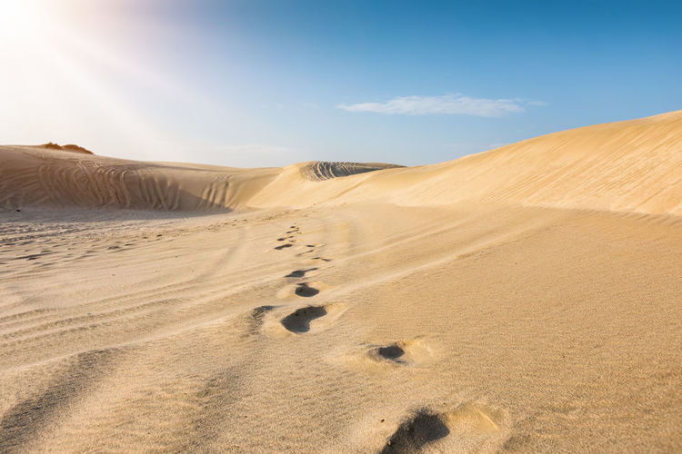 Sand dunes in desert against sky