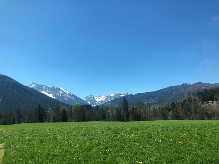 Scenic view of field and mountains against clear blue sky