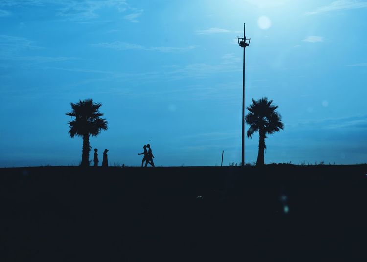 Silhouette man by palm tree against sky