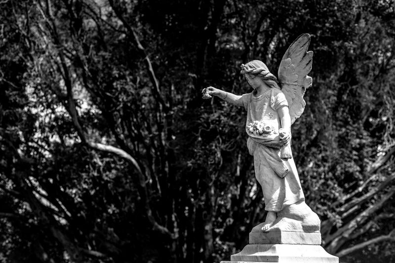 Full length of angel statue in park