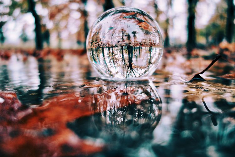 Close-up of crystal ball with reflection of trees in water