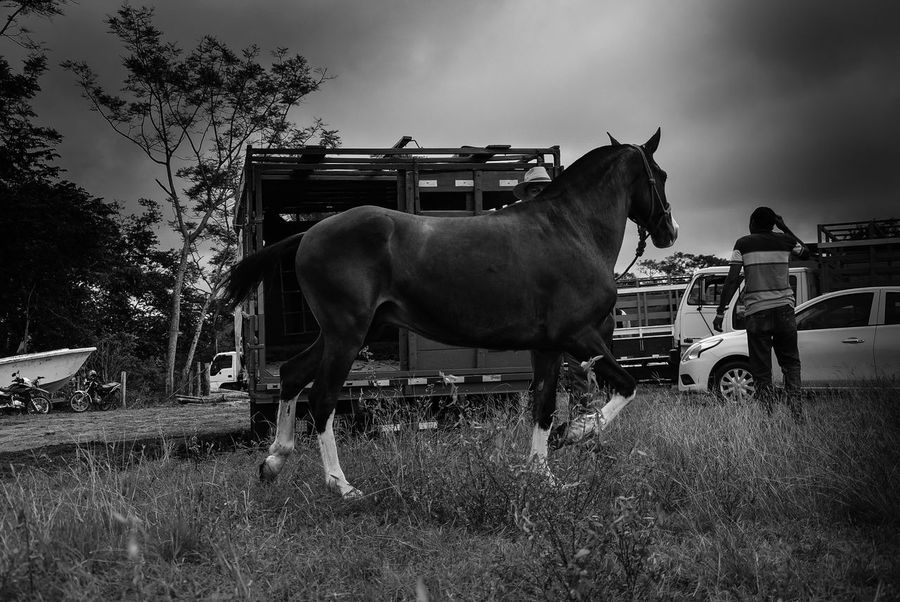 50 Nicoya Pictures Hd Download Authentic Images On Eyeem