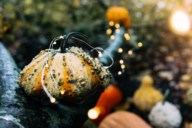 Close-up of illuminated pumpkin on rock