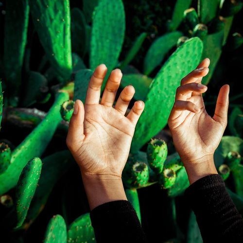 Close-up of hands by plants