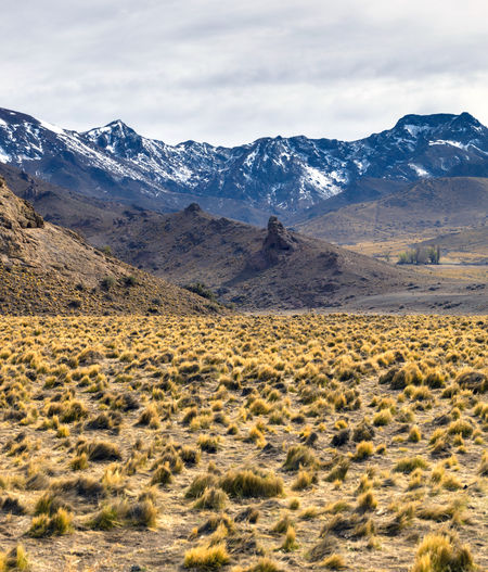 Roads in autumn through the andes mountain range. the longest continental mountain range.