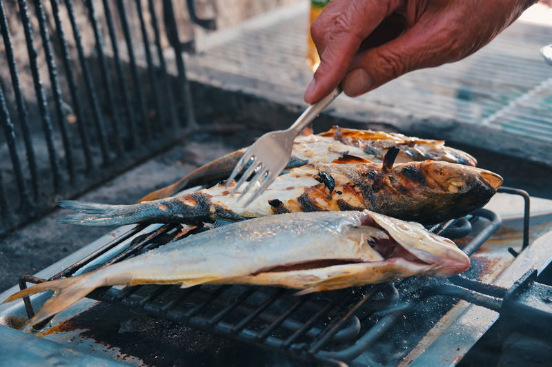 Closeup of grilled fish on gridiron