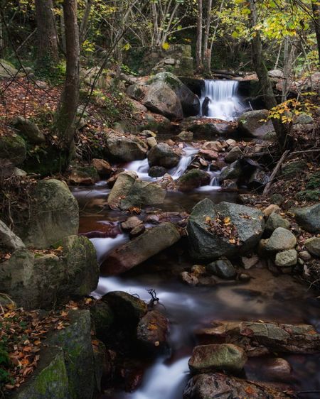 Stream flowing through rocks in forest