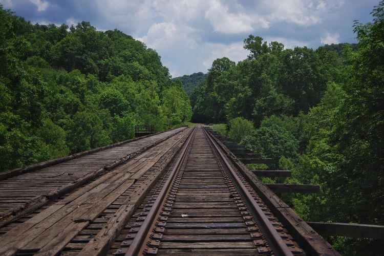 Railroad track on trestle against trees