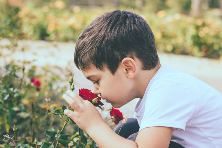 Boy smelling flower at park