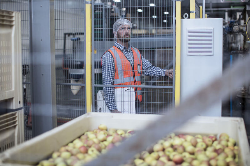 Inspector in apple distribution factory