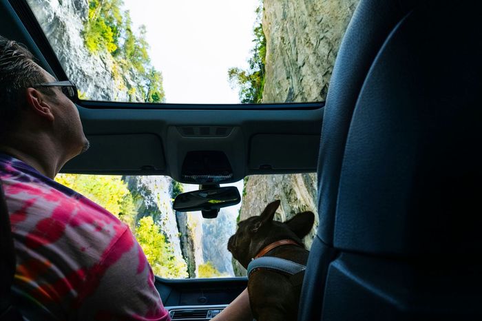 Portrait of man and dog sitting in car at mountain