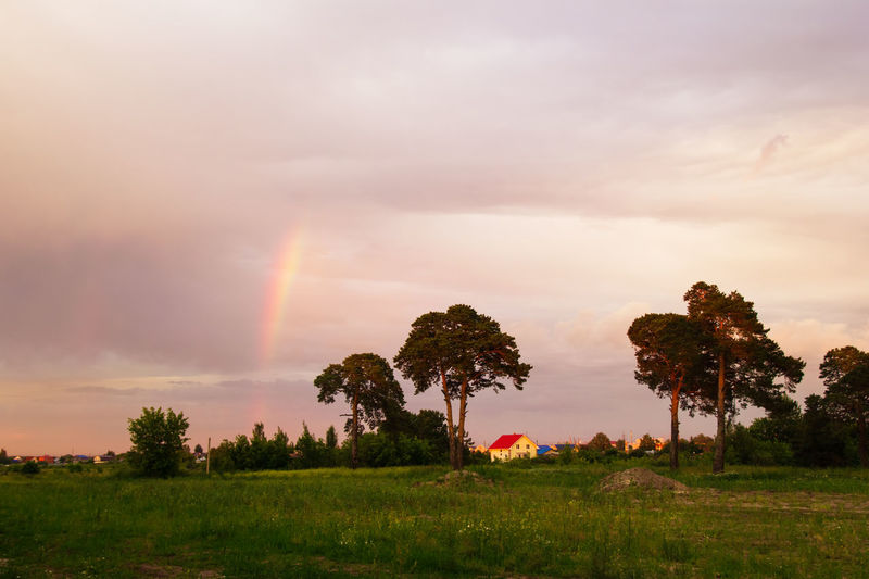 Trees on field against rainbow in sky at sunset