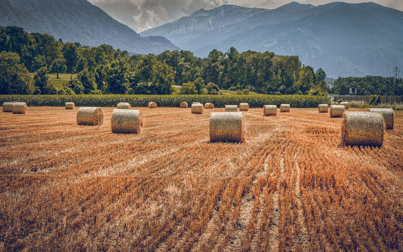 Hay bales on field against sky