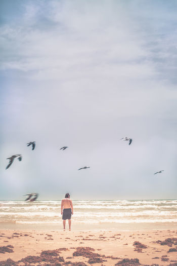 Rear view of shirtless man standing at beach with birds flying against sky