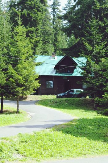 Houses on green landscape